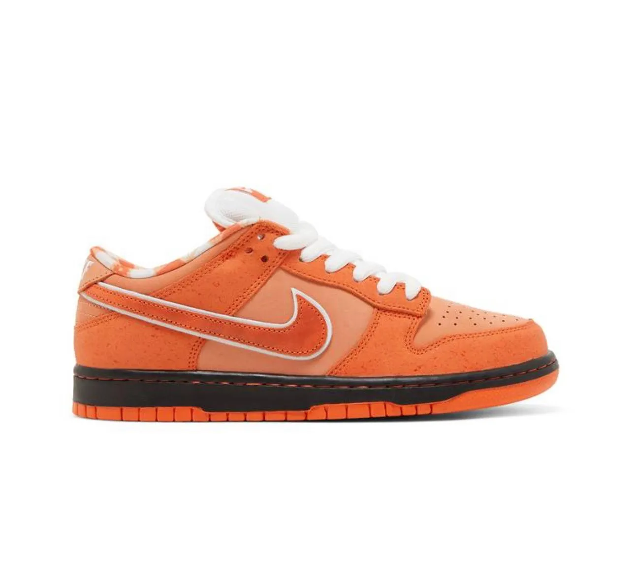 Concepts X Dunk Low SB ‘ORANGE LOBSTER’