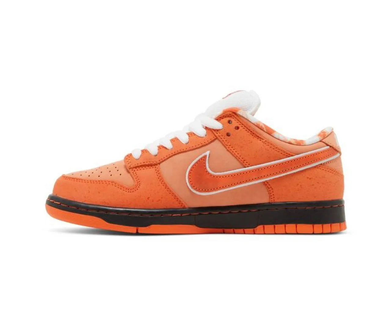 Concepts X Dunk Low SB ‘ORANGE LOBSTER’