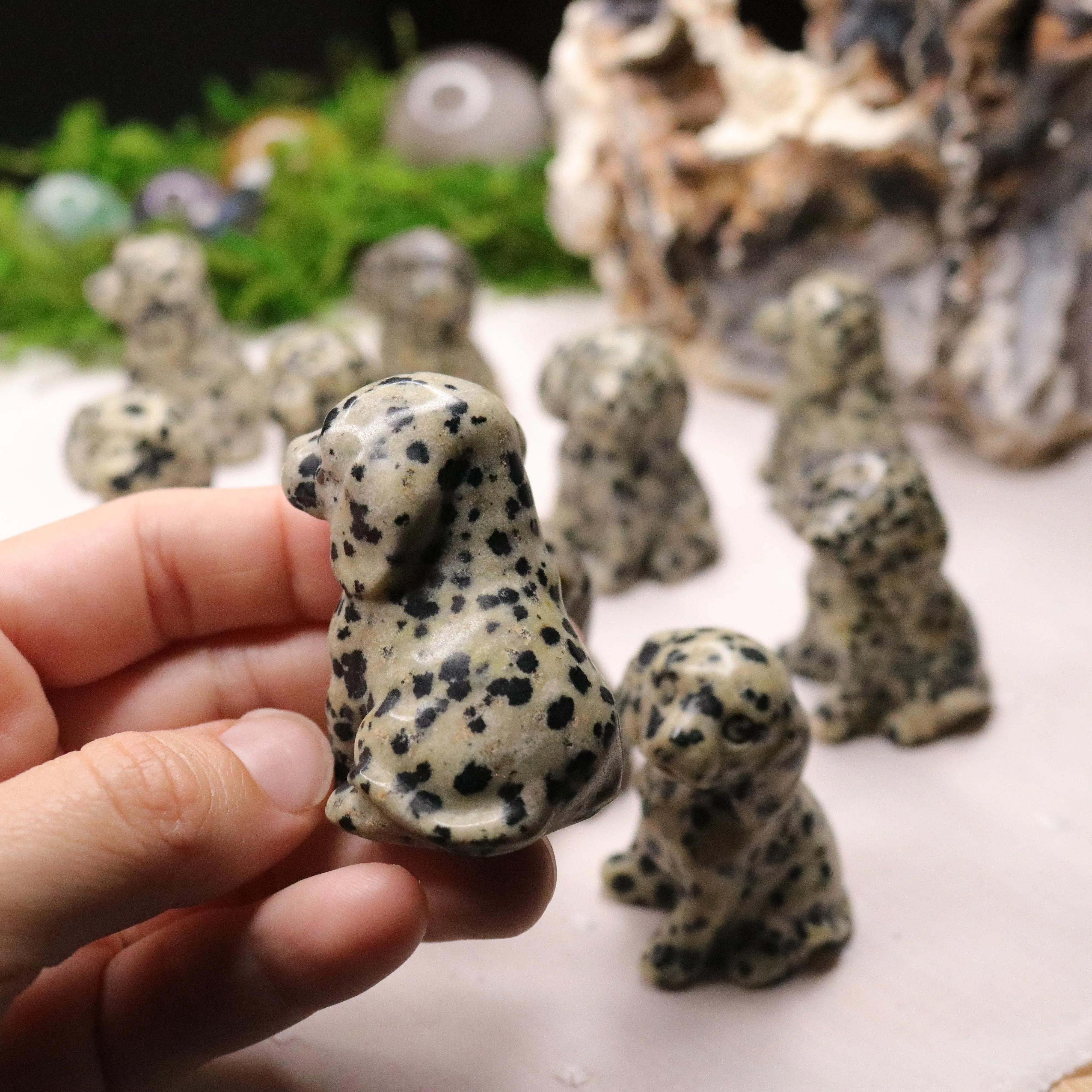 Dalmatian Stone~ Dalmatian Dog Carving ~ Companion Crystal for Playful Spirit