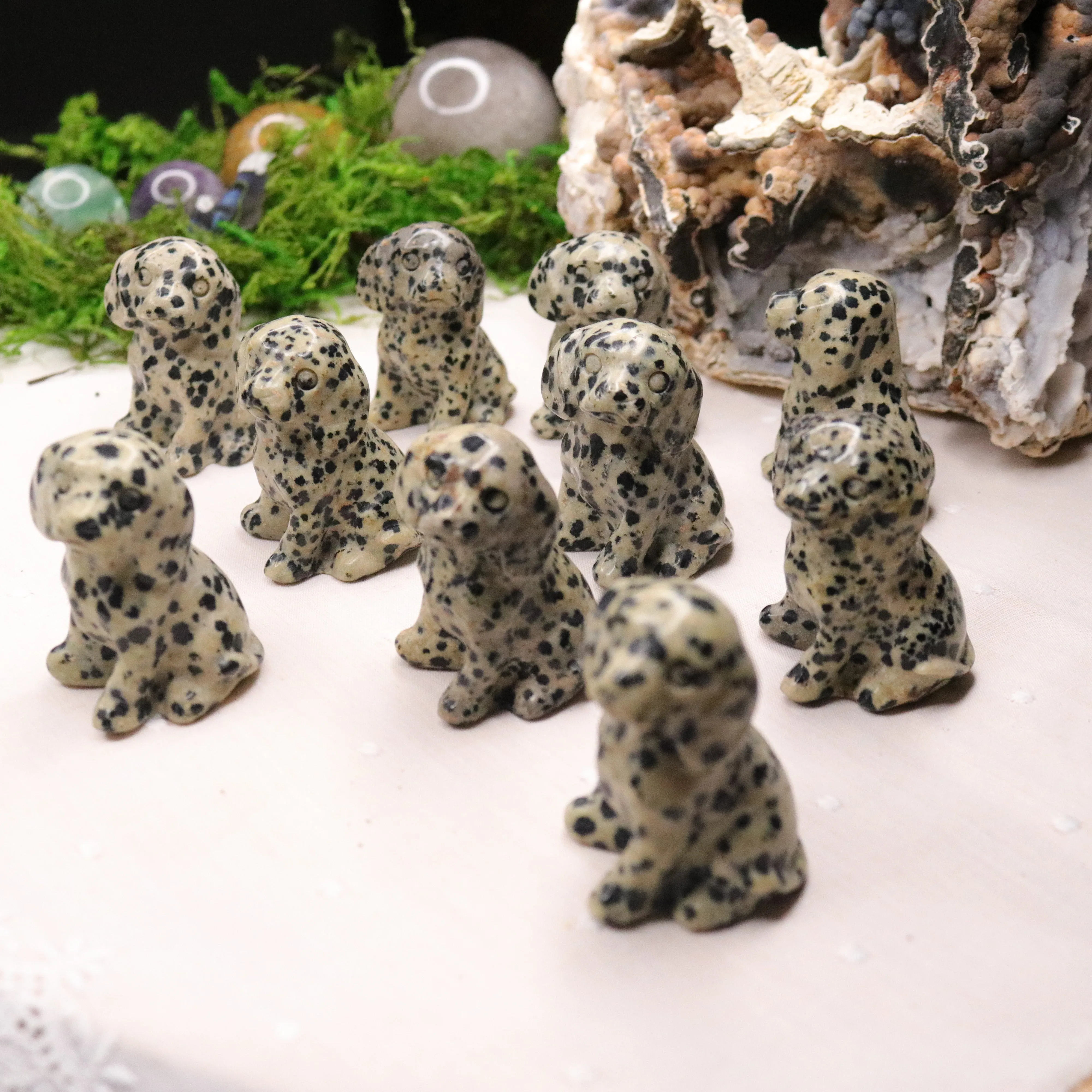 Dalmatian Stone~ Dalmatian Dog Carving ~ Companion Crystal for Playful Spirit