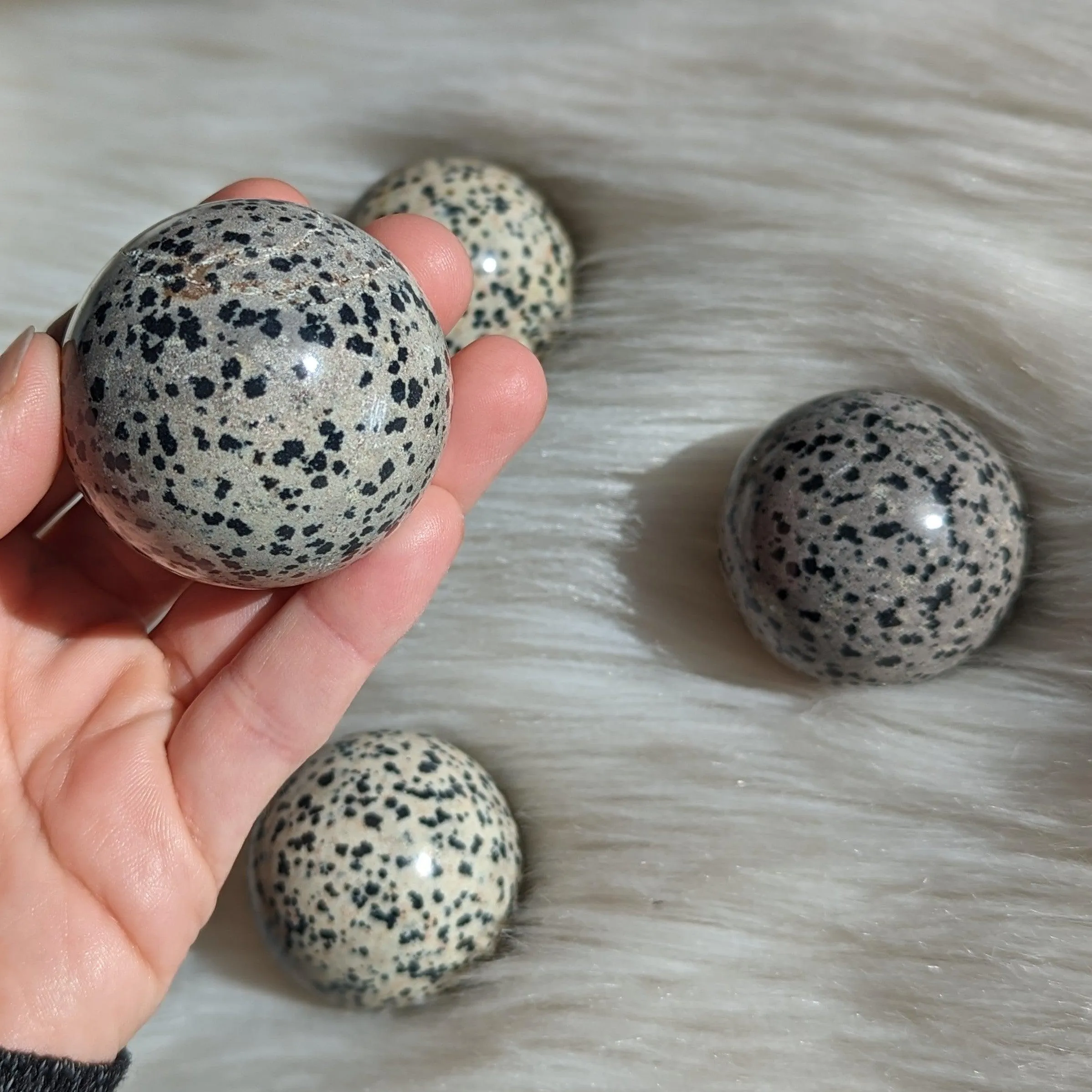 One Dalmatian Jasper Sphere Carving