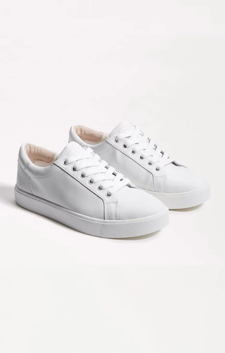 Sam Edelman Ethyl Sneaker ~ White