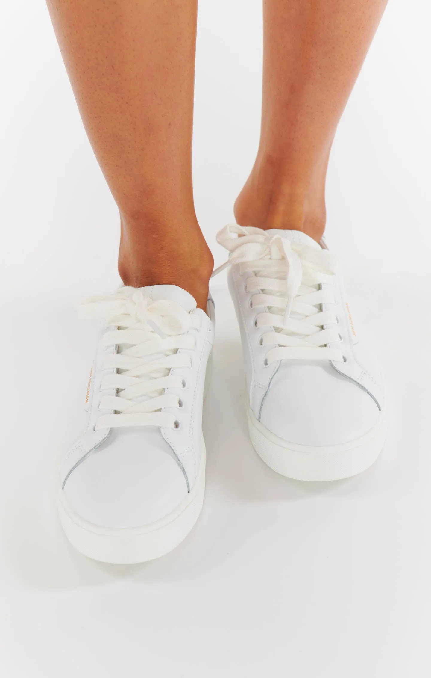 Sam Edelman Ethyl Sneaker ~ White