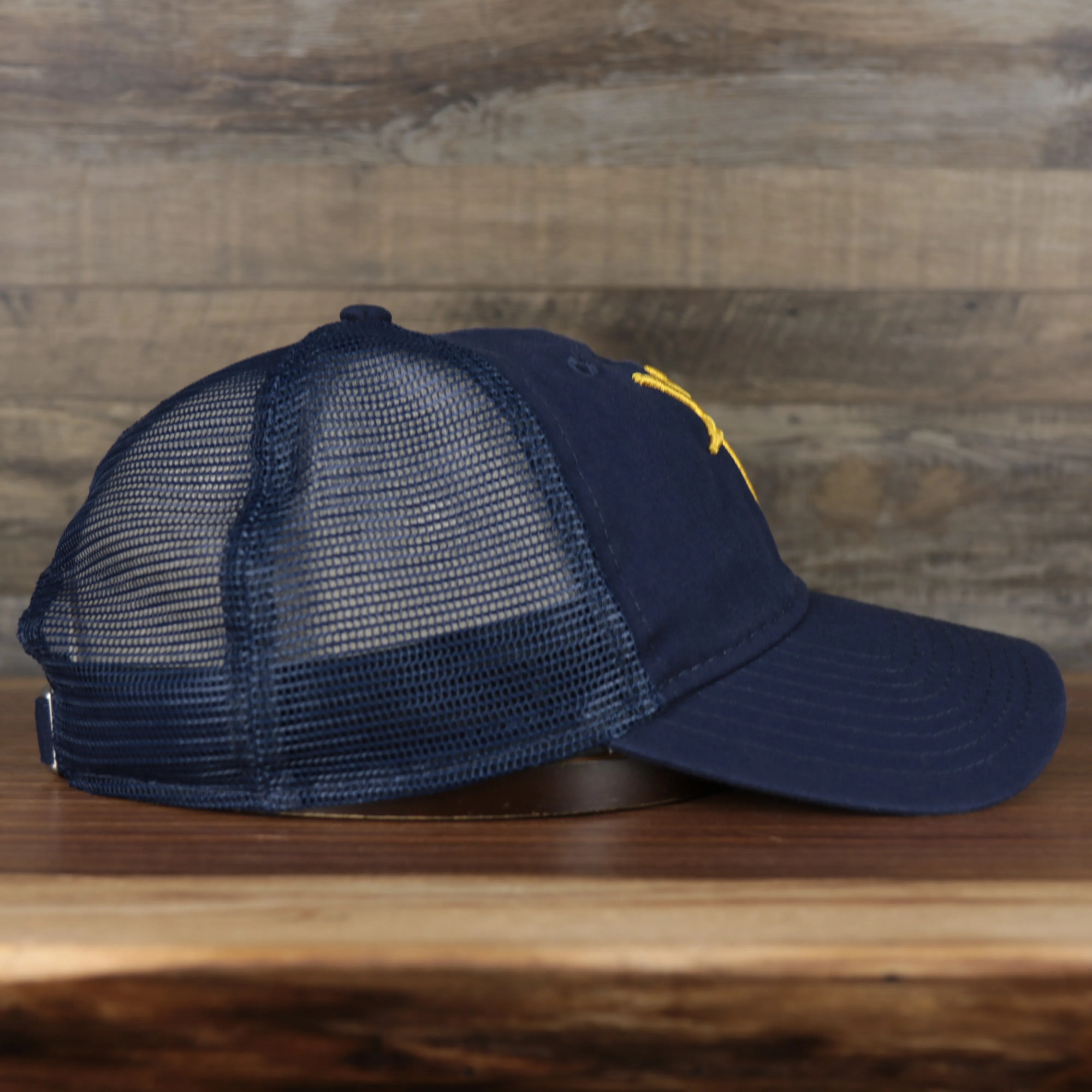 Tampa Bay Rays 2022 MLB Batting Practice On-Field Spring Training 9Twenty Trucker Dad Hat